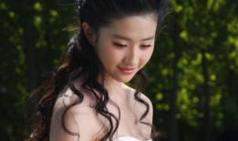 娱乐吃瓜酱刘亦菲,娱乐圈的“吃瓜酱”，揭秘女神背后的故事