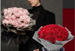 讲故事吃瓜娱乐圈小说,瓜田里的明星秘闻