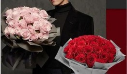 讲故事吃瓜娱乐圈小说,瓜田里的明星秘闻