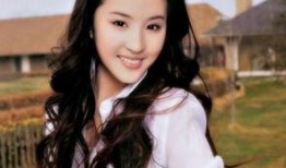 娱乐吃瓜酱刘亦菲,娱乐圈的“吃瓜酱”，揭秘女神背后的故事