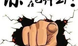 娱乐吃瓜酱是金子,揭秘金子背后的娱乐风云