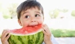 娱乐吃瓜喵散步,散步中的娱乐圈八卦揭秘