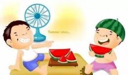 娱乐吃瓜喵散步,散步中的娱乐圈八卦揭秘