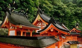 吃瓜寺寺娱乐圈,揭秘娱乐圈背后的那些事儿